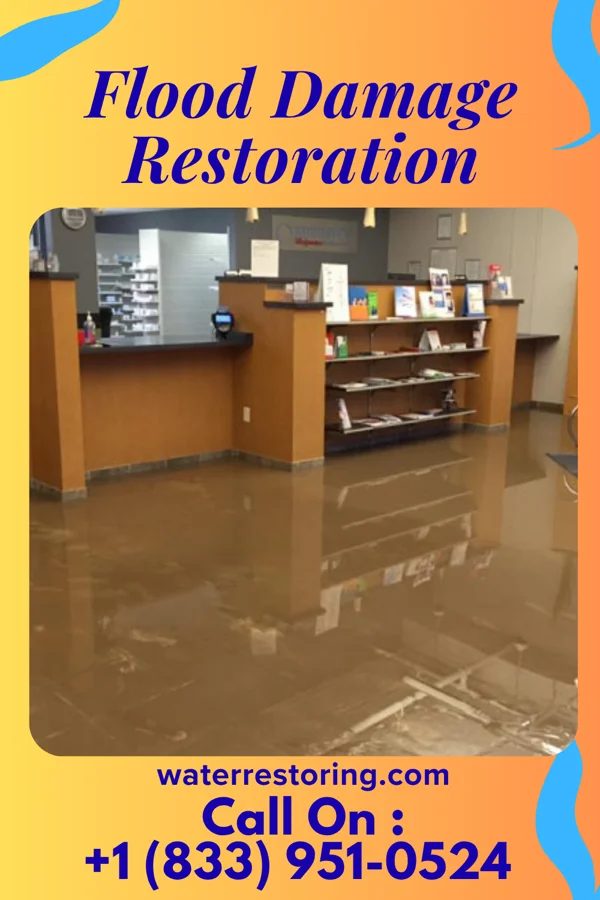 Flood Damage Restoration in Dixonville, FL