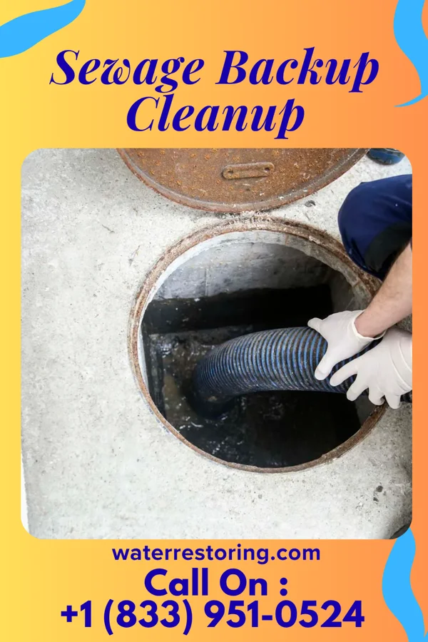 Sewage Backup Cleanup in Dixonville, FL